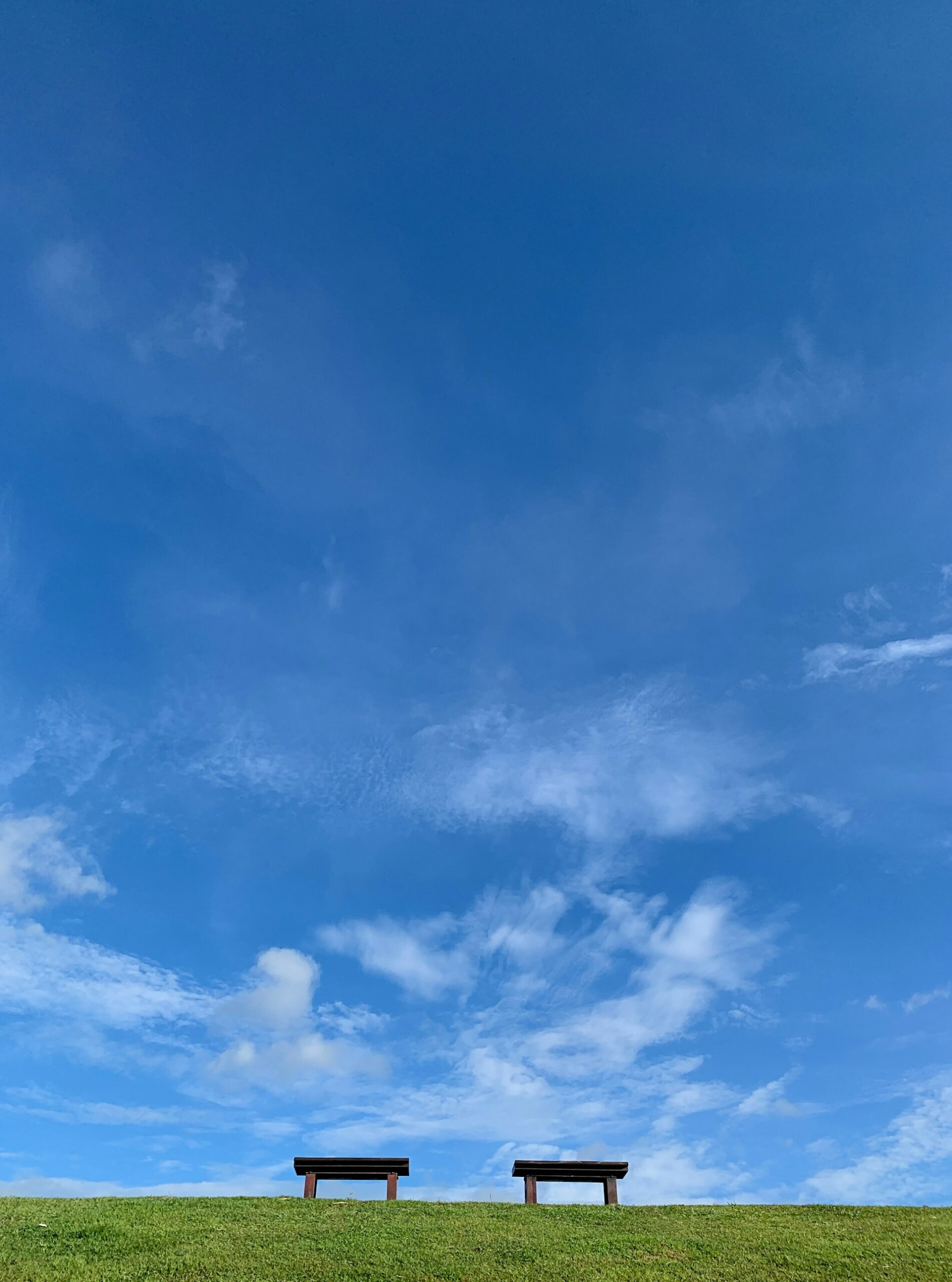 青空の下に置かれたベンチと緑の草原